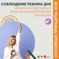 Оренбуржцам напоминают основные принципы здорового образа жизни / МАУДО «Спортивная школа № 8»