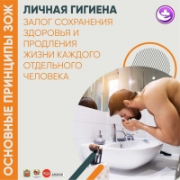 Оренбуржцам напоминают основные принципы здорового образа жизни / МАУДО «Спортивная школа № 8»